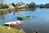 Barcas
