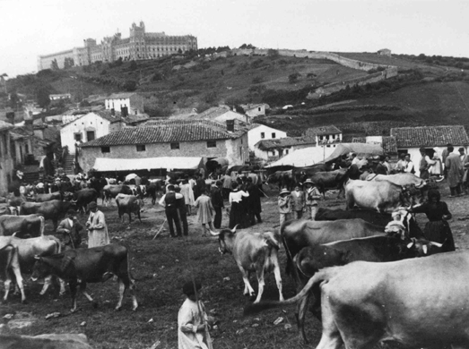 Feria de ganado en la Peña. Principios del siglo XX